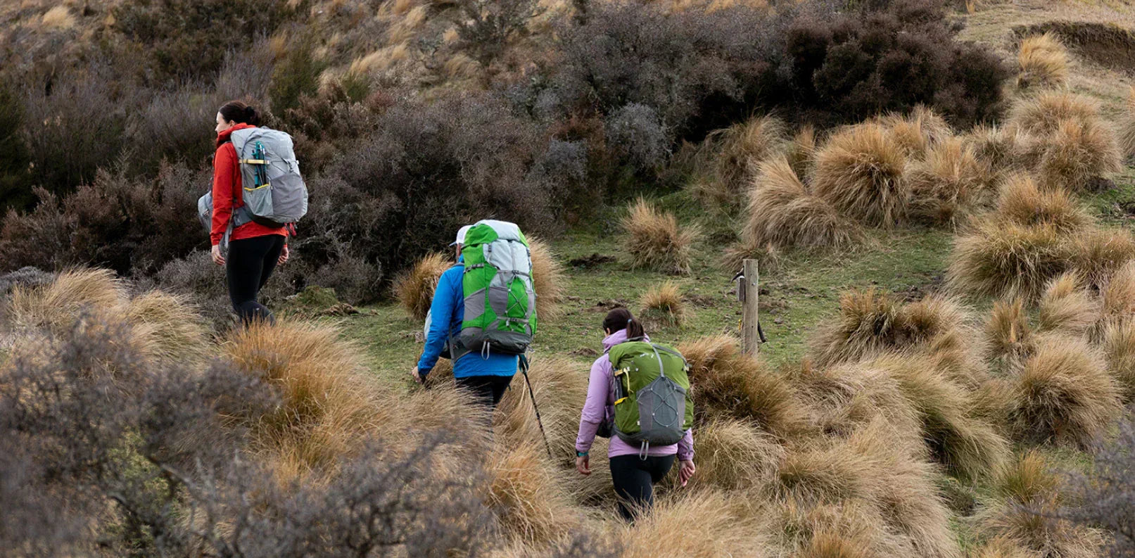 A group of hikers is walking uphill in the New Zealand backcountry. They are all wearing Aarn Backpacks. 